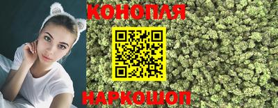 крисы Обнинск